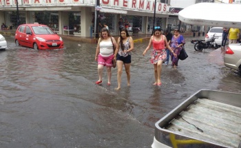 Carta enviada por jossmarting