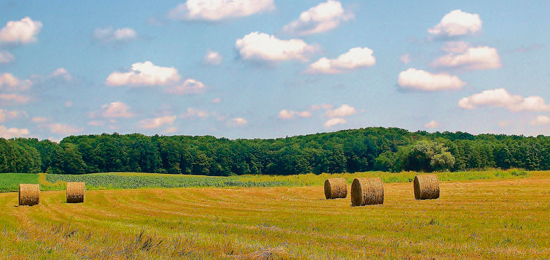 Terrenos expropiados Terrenos expropiados