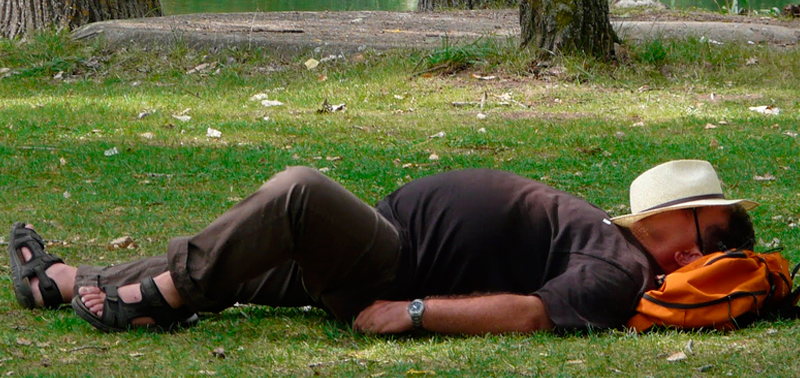 La gente se echa la siesta en cualquier sitio La gente se echa la siesta en cualquier sitio