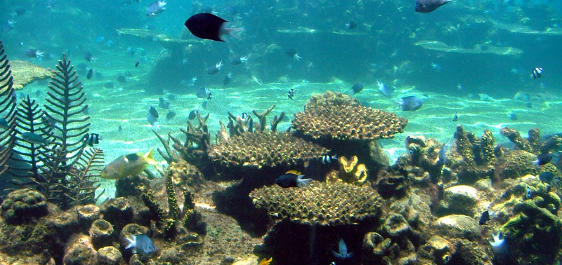 Alertan del peligro de la alteración de los fondos marinos